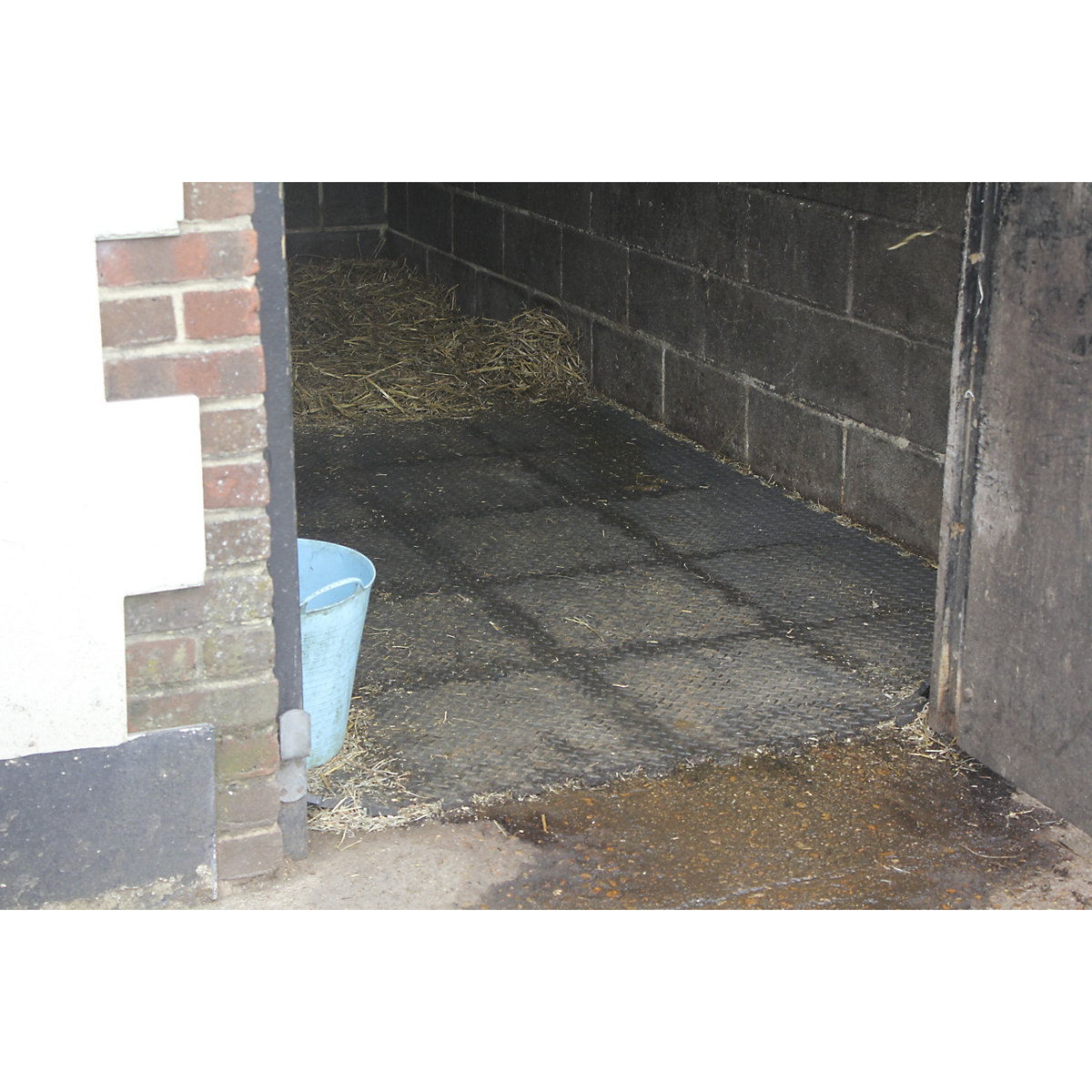 BiGDUG Essentials Stable Tile Mega Deal (Product illustration 5)-4