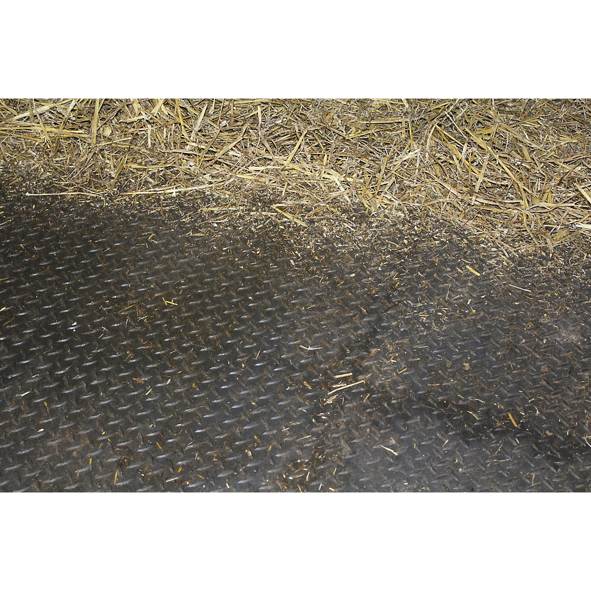 BiGDUG Essentials Stable Tile Mega Deal (Product illustration 6)-5