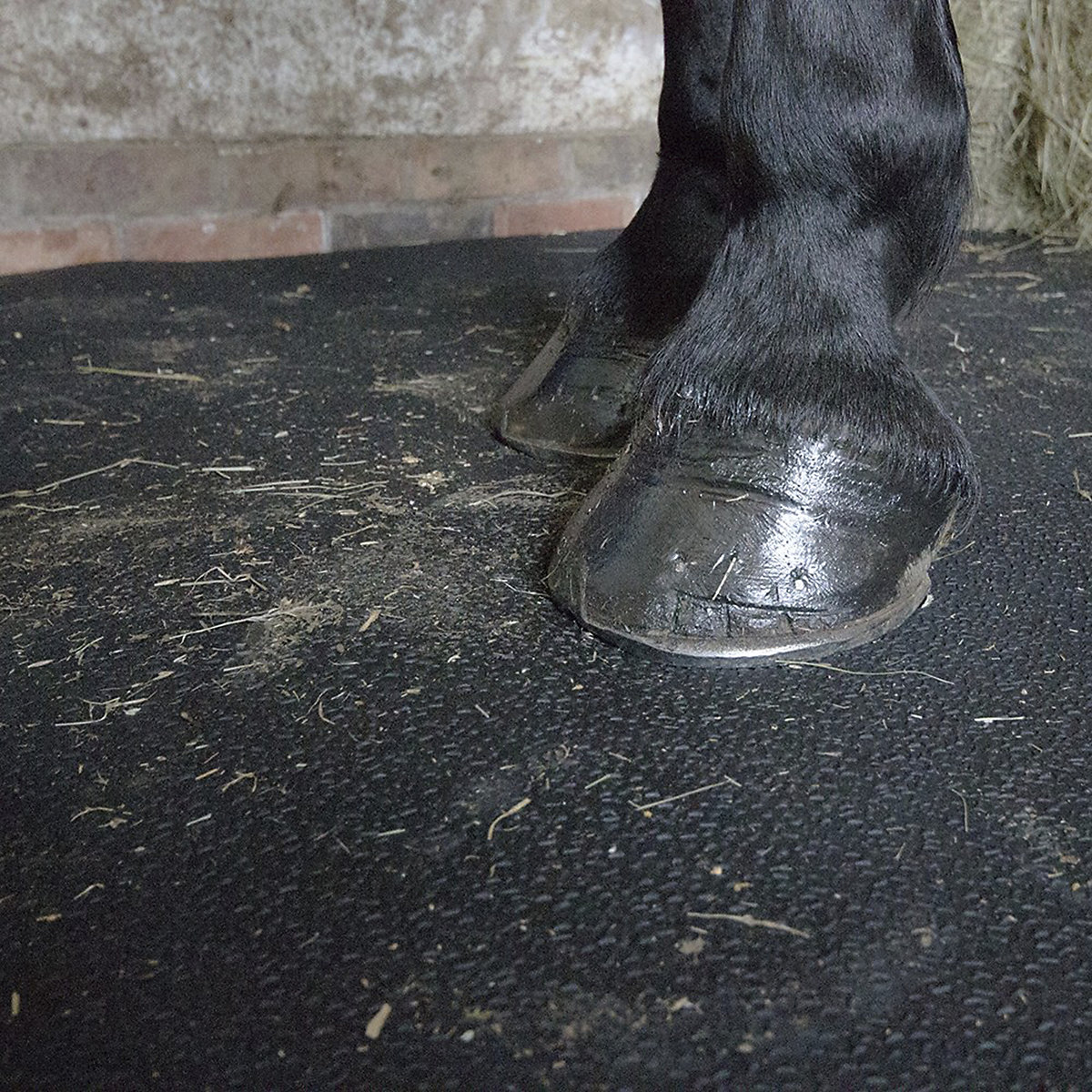 COBA Europe | Stable Rubber Horse Mats