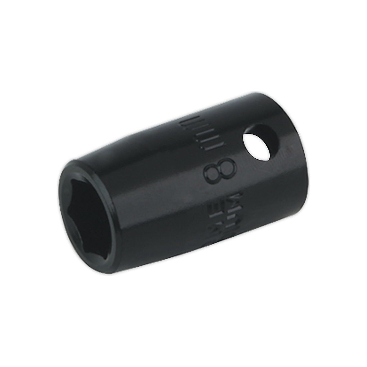 SEIS3808_1