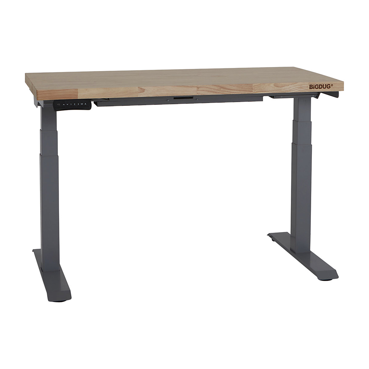 BiGDUG Electric Height Adjustable Workbenches