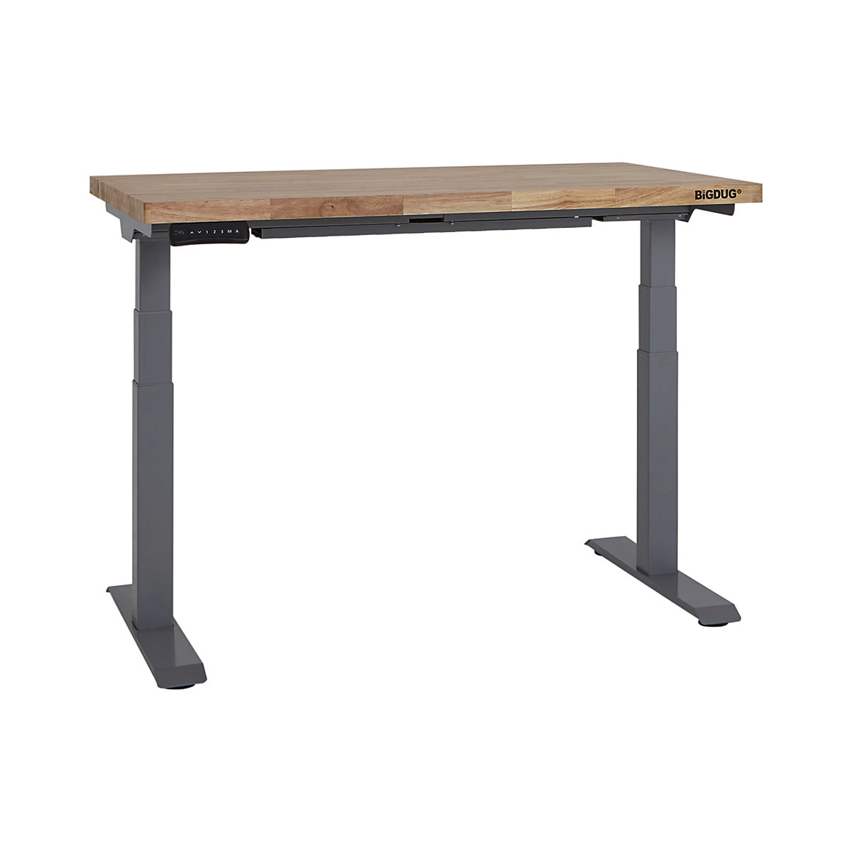 BiGDUG Electric Height Adjustable Workbenches
