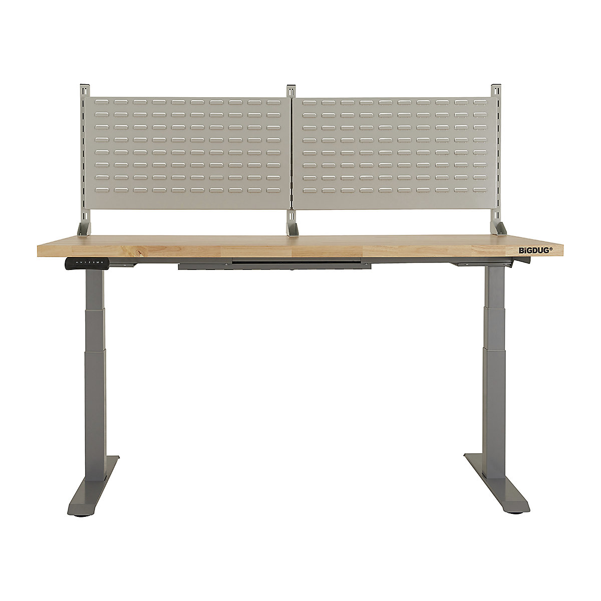 BiGDUG Electric Height Adjustable Workbenches