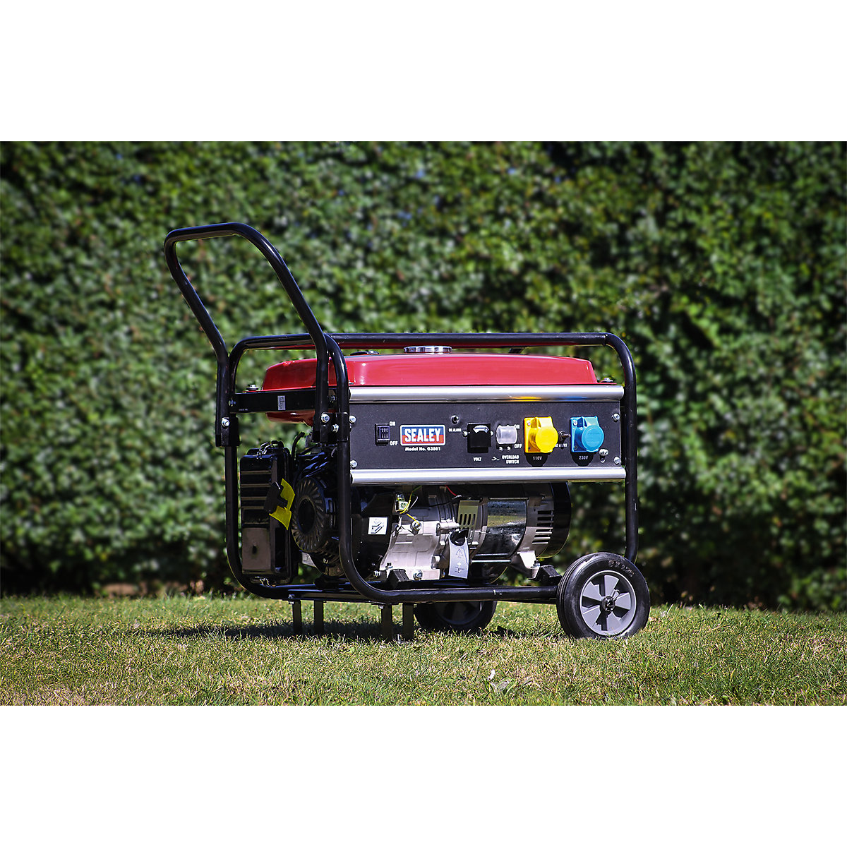 Sealey Generator | 5500W (Product illustration 6)-5
