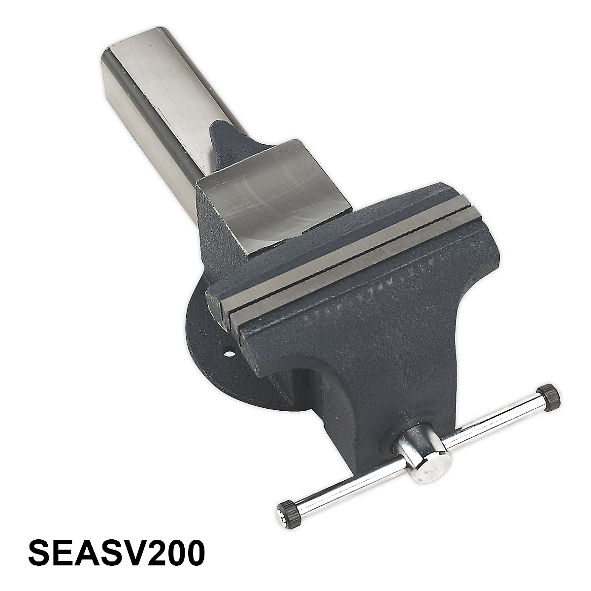 SEASV200_1