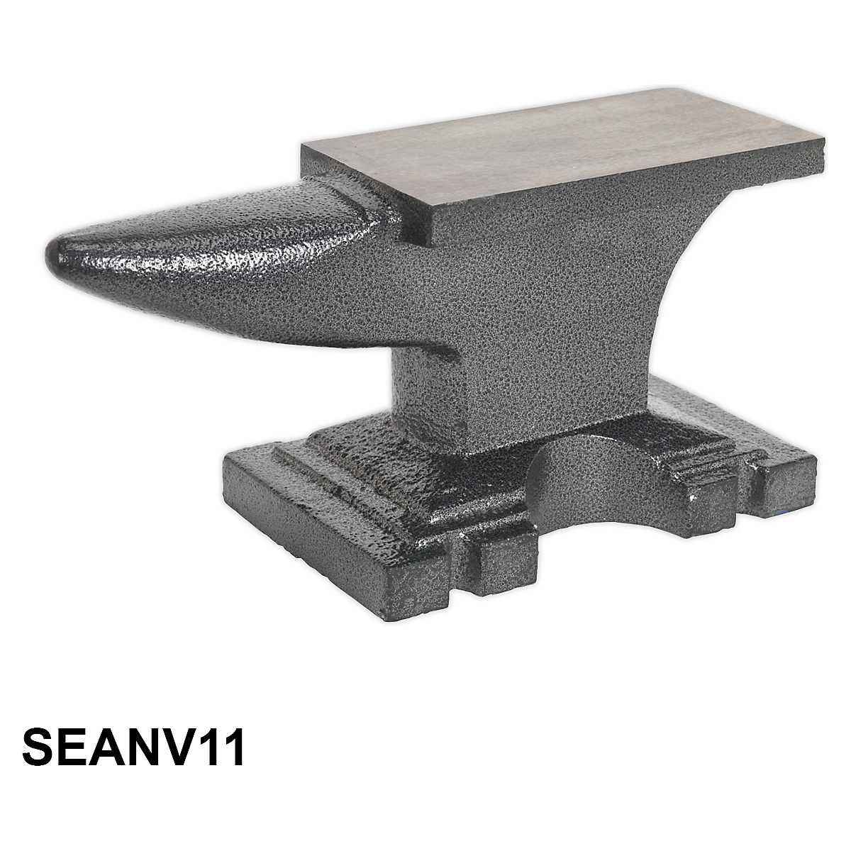 SEANV11_1