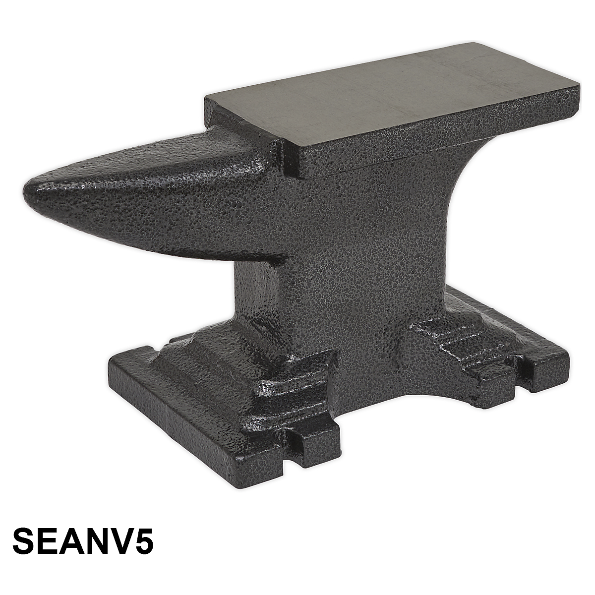 SEANV5_1