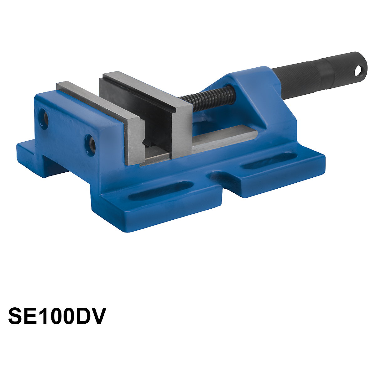 SE100DV_1