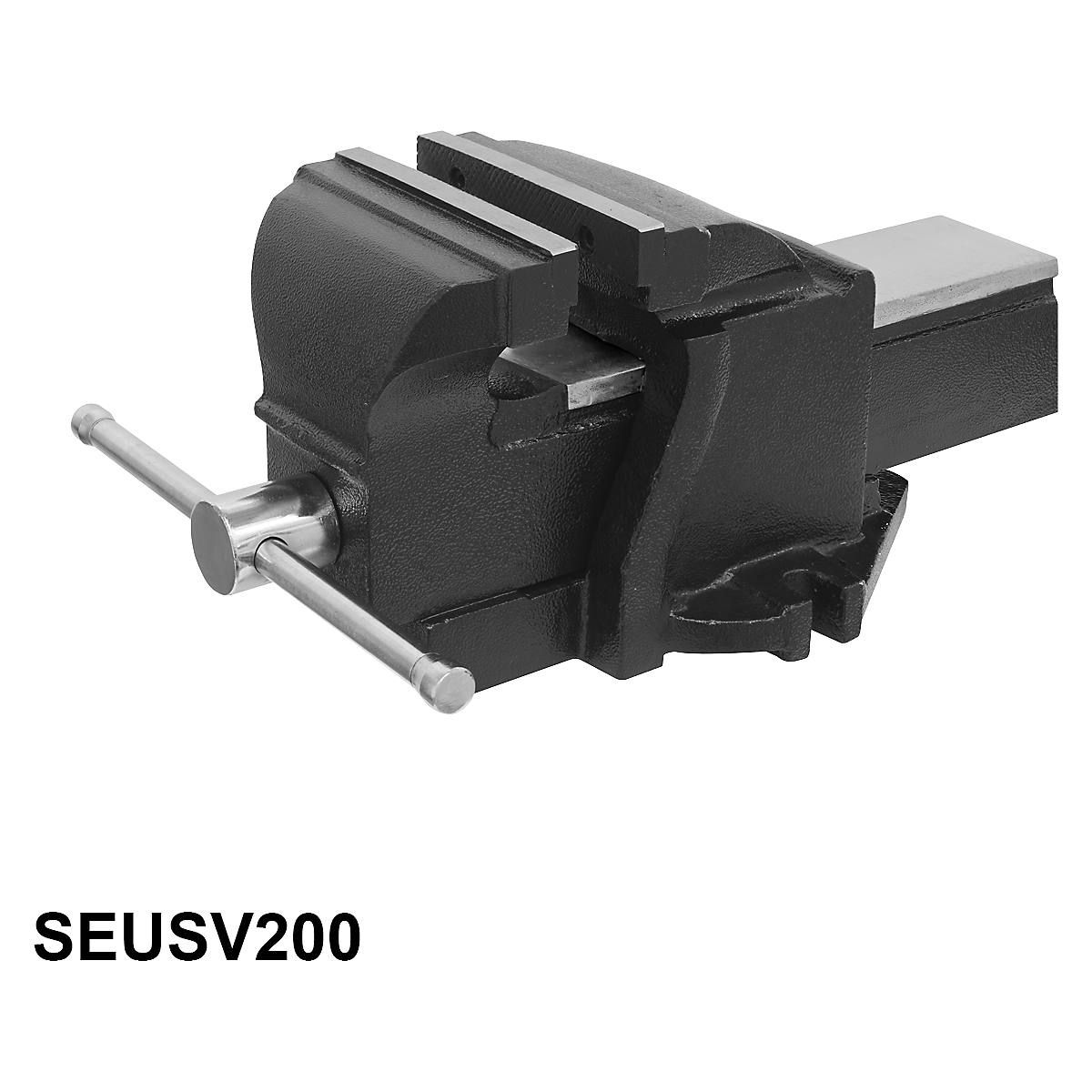 SEUSV200_1