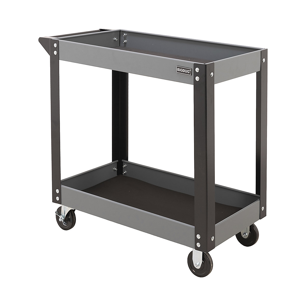 BiGDUG Garage Tool Trolleys