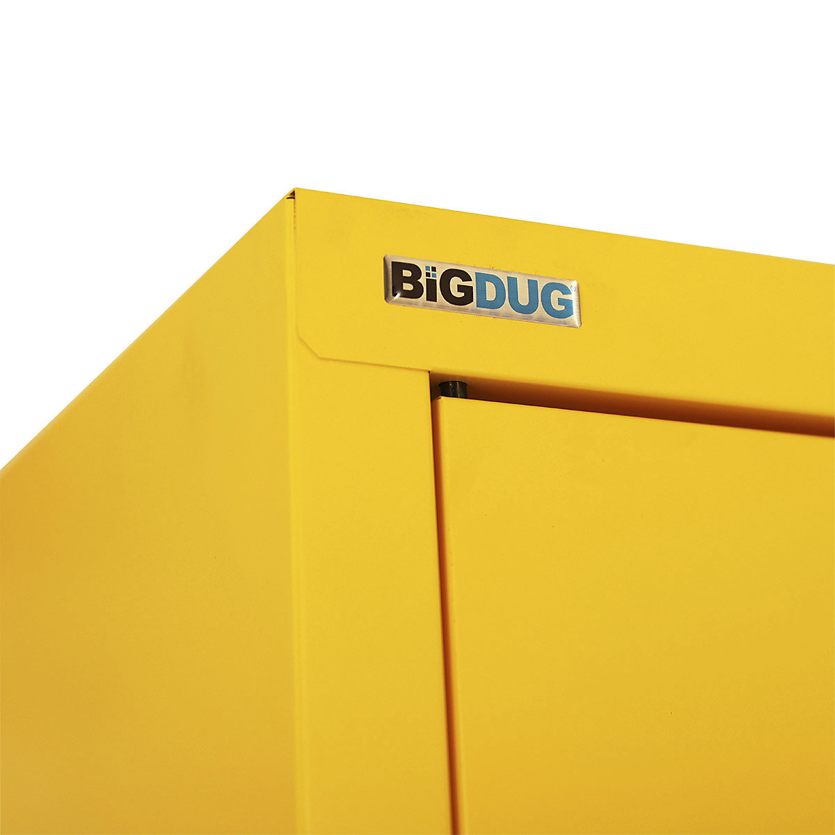 BiGDUG Hazardous Substance Storage Cabinets (Product illustration 19)-18