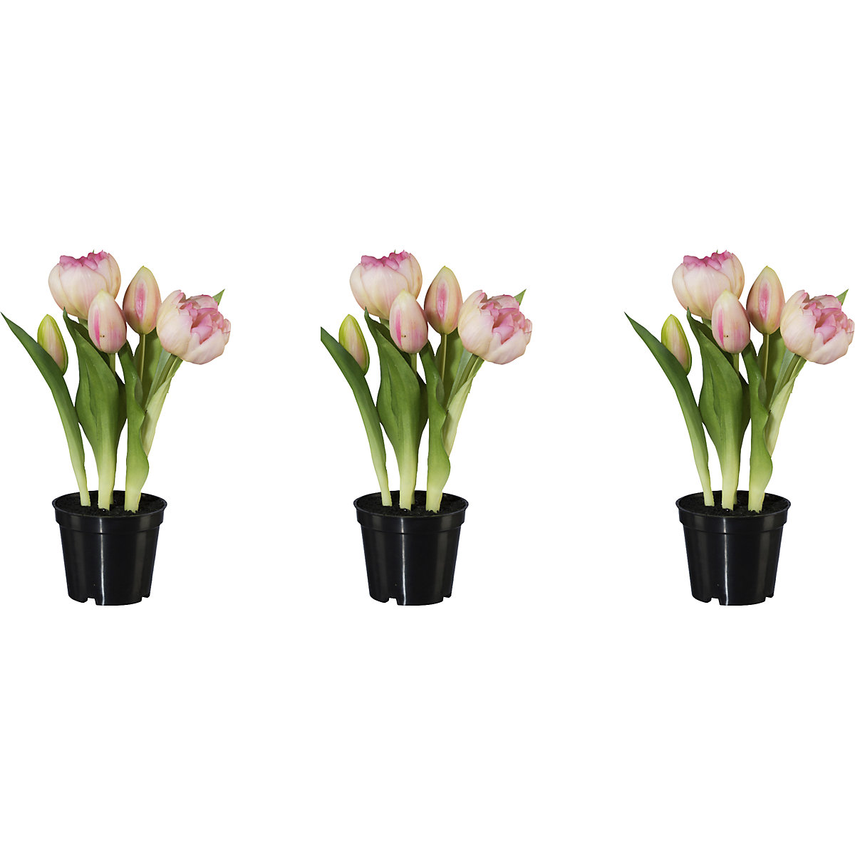 Tulipany pełne, real touch, w doniczce, wys. 250 mm, opak. 3 szt., różowe-1