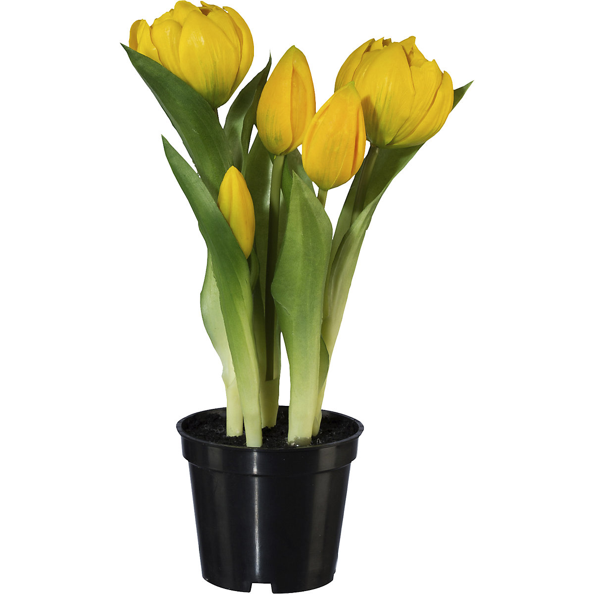 Tulipany pełne, real touch, w doniczce (Zdjęcie produktu 6)-5