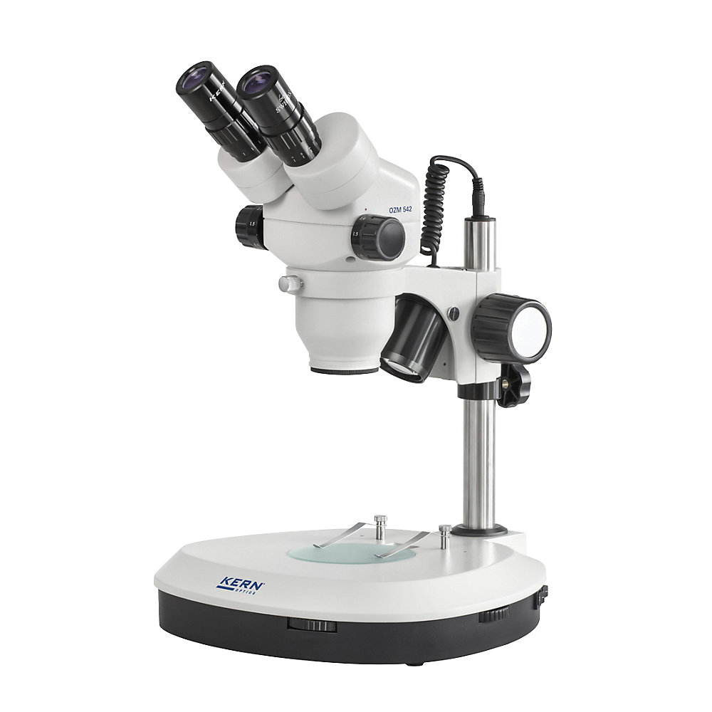 Microscope à zoom stéréo
