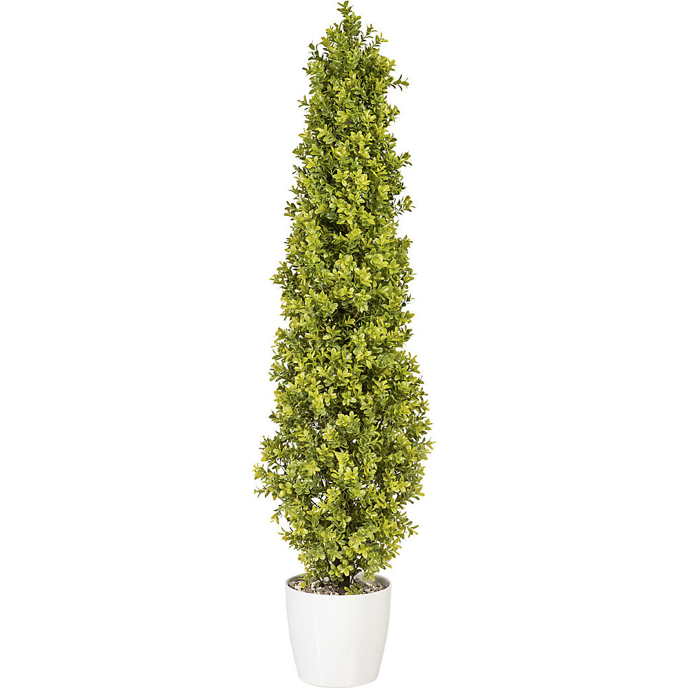 Piramidă de cimișir