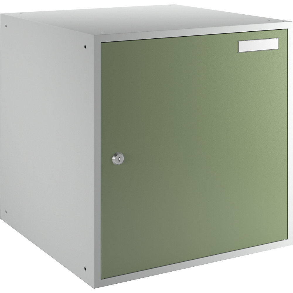 Photos - Other Furniture eurokraft basic HxWxD 450 x 450 x 450 mm, solid panel door, HxWxD 450 x 450 x 450 mm, solid panel door, light grey / reseda