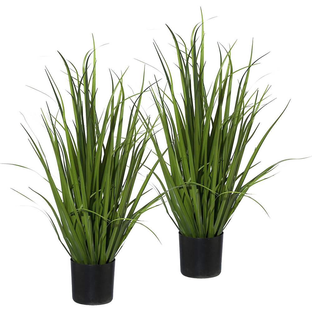 Miscanthus, jeu de deux