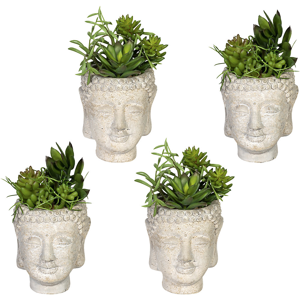 Arrangement de succulentes dans un pot en ciment 'Bouddha'