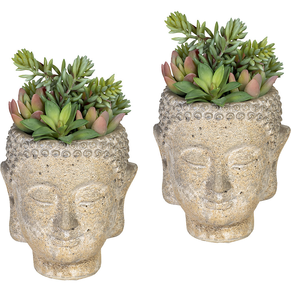 Aranjament de plante suculente în ghiveci din ciment Buddha