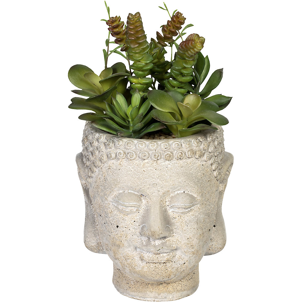 Arrangement de succulentes dans un pot en ciment 'Bouddha'