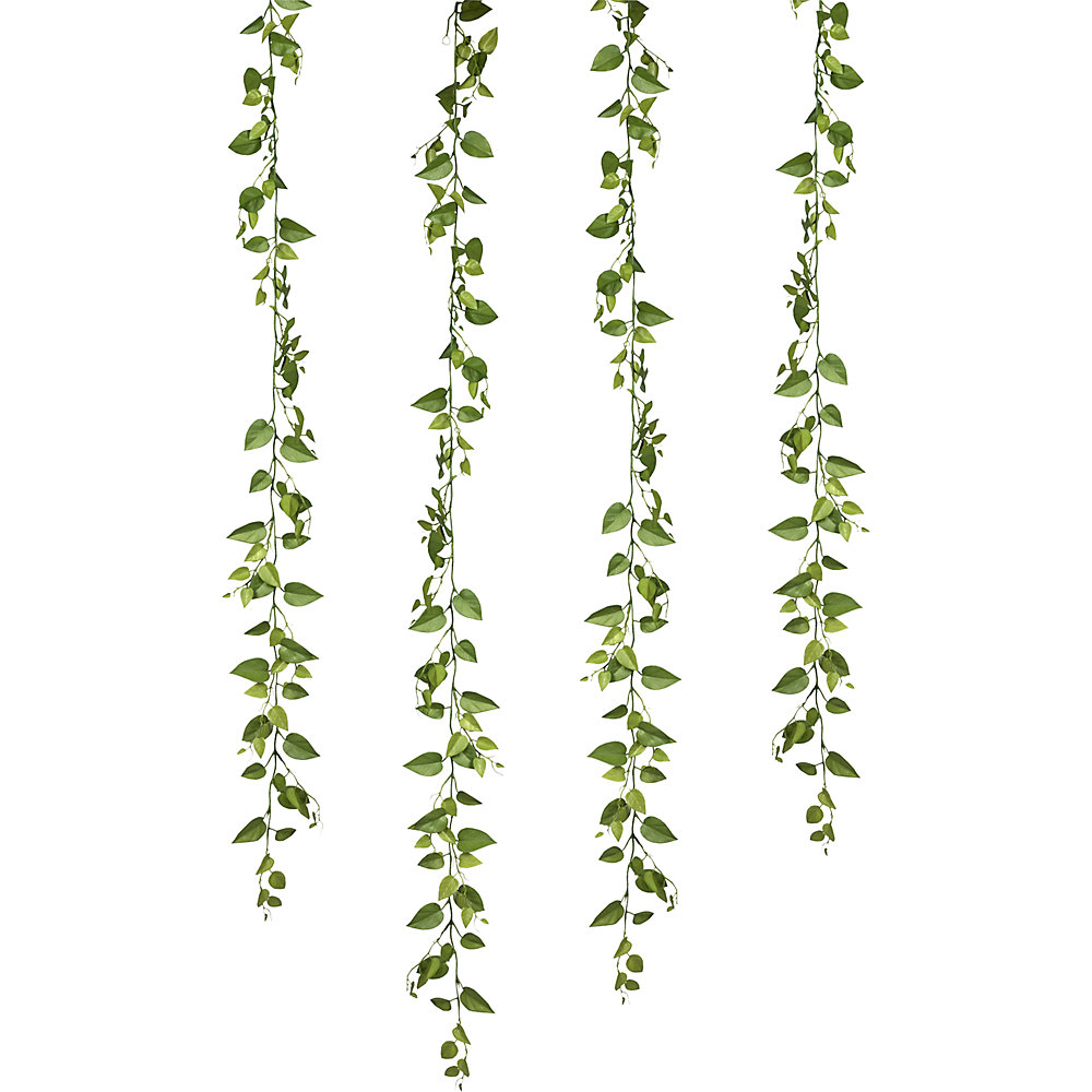 Guirlande de feuilles de philodendron
