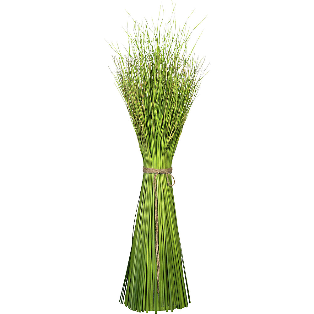 Buisson Dancing Queen