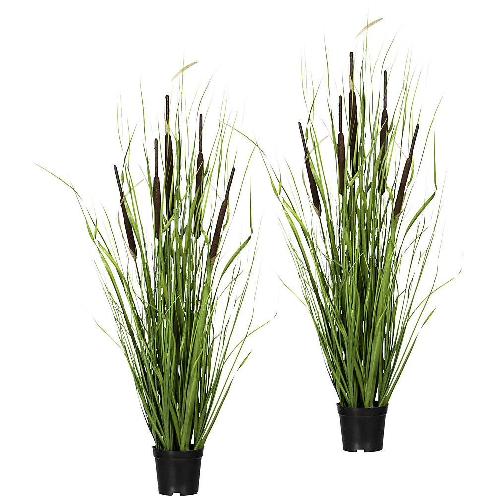 Buisson avec quenouilles