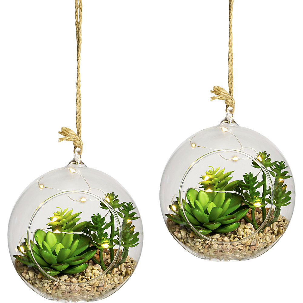 Ensemble de succulentes avec éclairage par diode LED, lot de 2