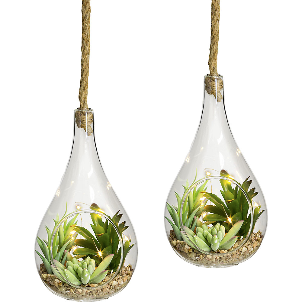 Ensemble de succulentes avec éclairage par diode LED, lot de 2