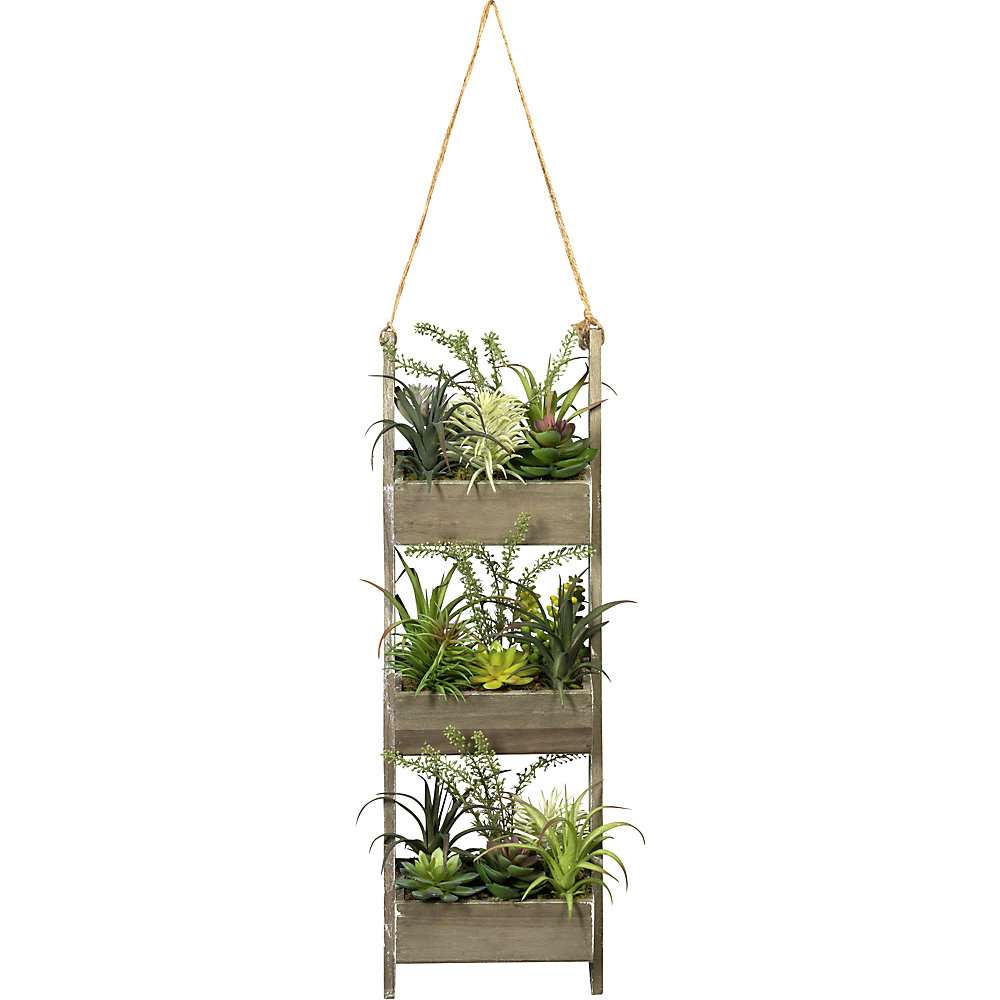 Échelle décorative en bois avec succulentes