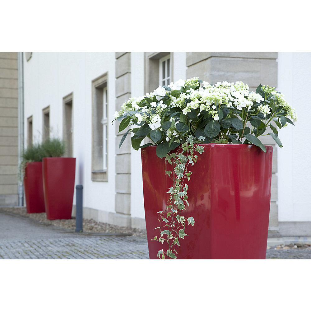 Pflanzbehälter, TREVIA IV, HxBxT 900 x 470 x 470 mm, rubinrot DEGARDO 2