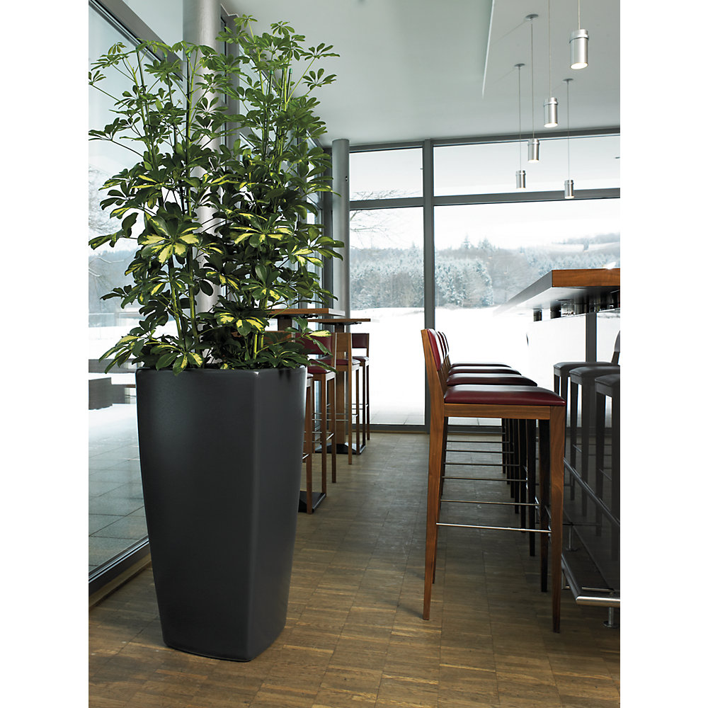 Pflanzbehälter, TREVIA IV, HxBxT 900 x 470 x 470 mm, anthrazit DEGARDO 2