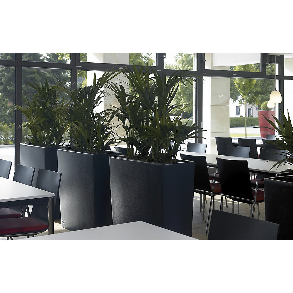 Pflanzbehälter, TREVIA 900K, HxBxT 900 x 900 x 390 mm, anthrazit DEGARDO 2