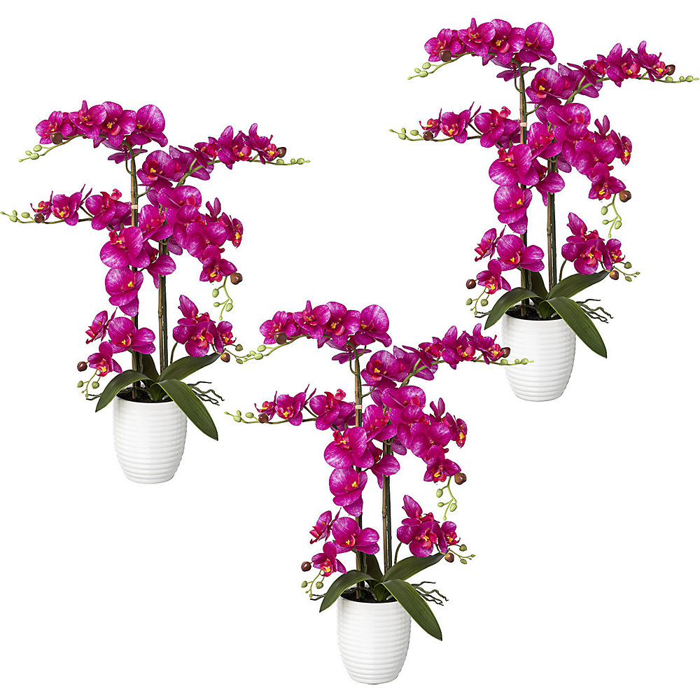 Phalaenopsis, real touch, hoogte 670 mm, VE = 3 stuks, keramische pot, lila