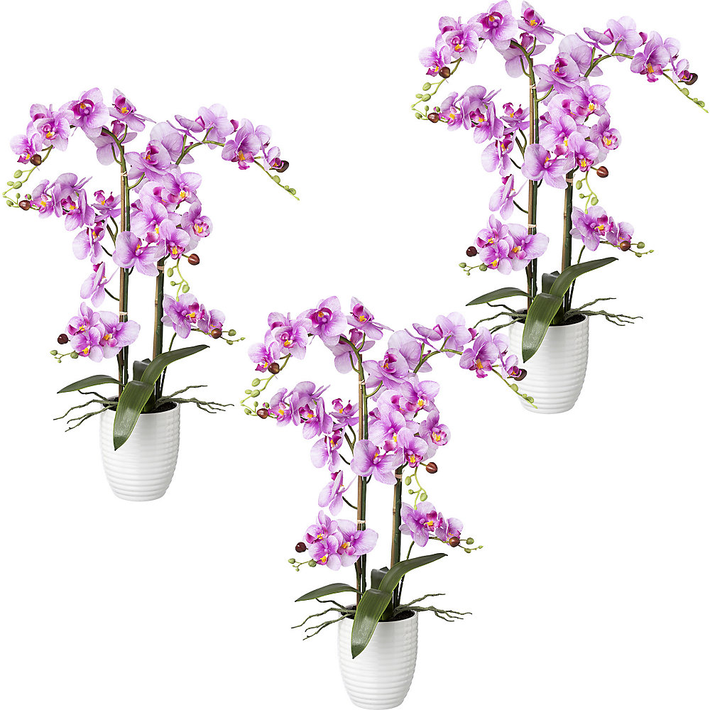Phalaenopsis, real touch, hoogte 670 mm, VE = 3 stuks, keramische pot, orchidee