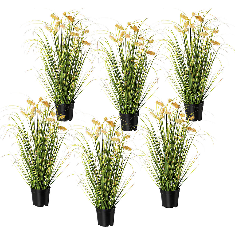 Buisson d'herbe avec fleurs