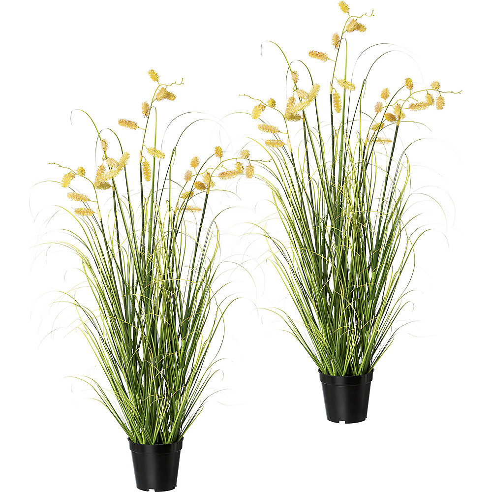 Buisson d'herbe avec fleurs