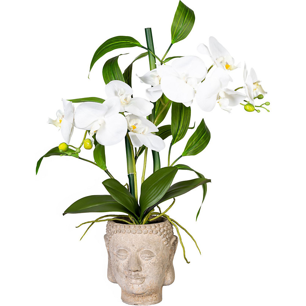 Orchidee-bamboe arrangement, in een cementen Boeddha-pot, wit, real touch, hoogte ca. 600 mm