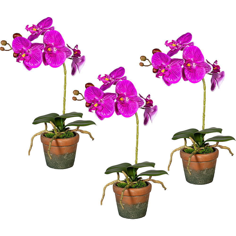 Orchidee Phalaenopsis, real touch, in een terracotta pot, VE = 3 stuks, bloemen lila