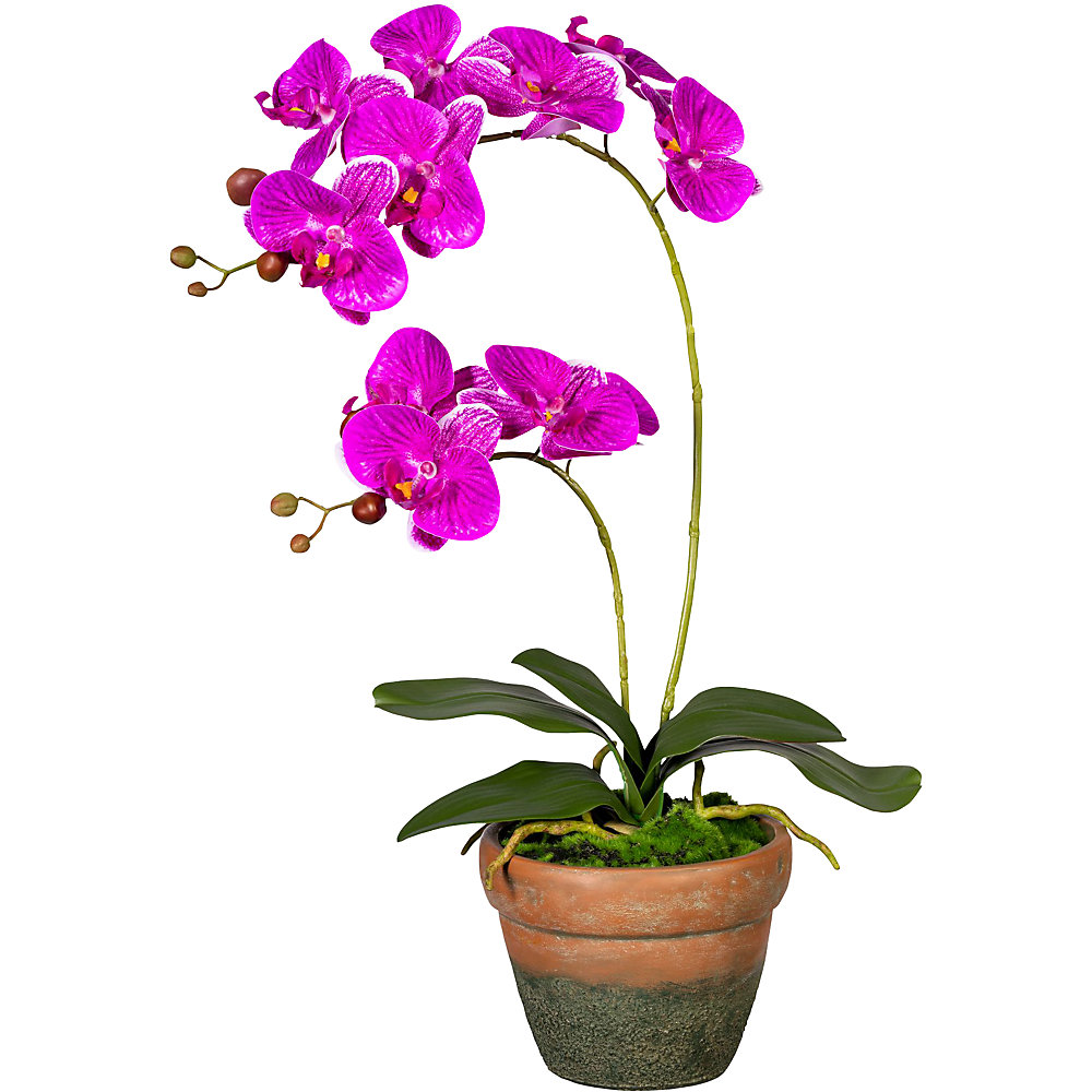 Orchidee Phalaenopsis, real touch, in een terracotta pot, bloemen lila