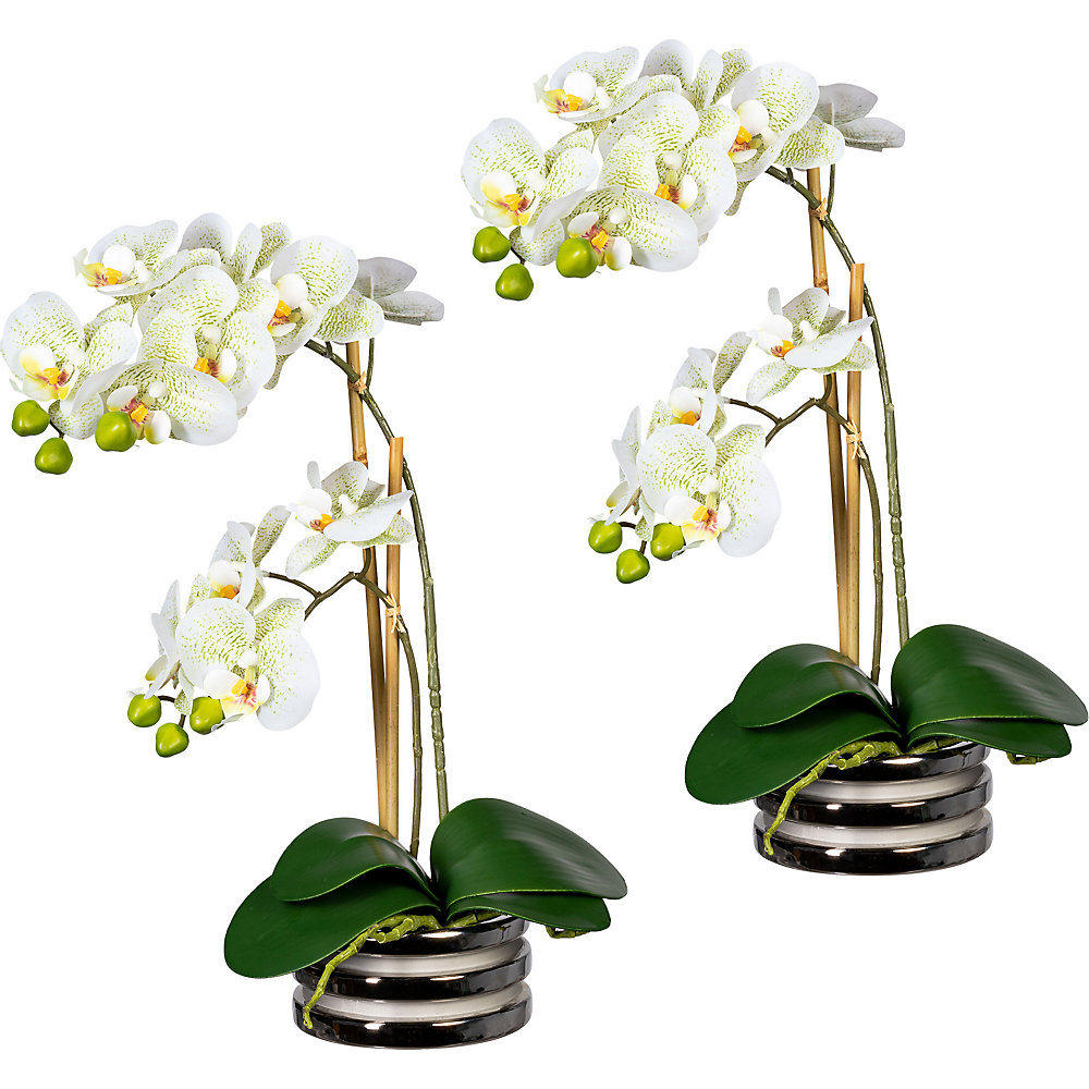 Orchidee Phalaenopsis, real touch, in een keramische schaal, VE = 2 stuks, lichtgroen