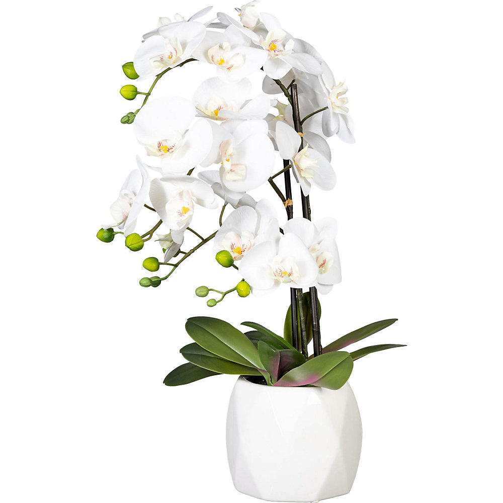 Orchidee Phalaenopsis, real touch, in keramische vaas, hoogte ca. 600 mm, bloemen wit