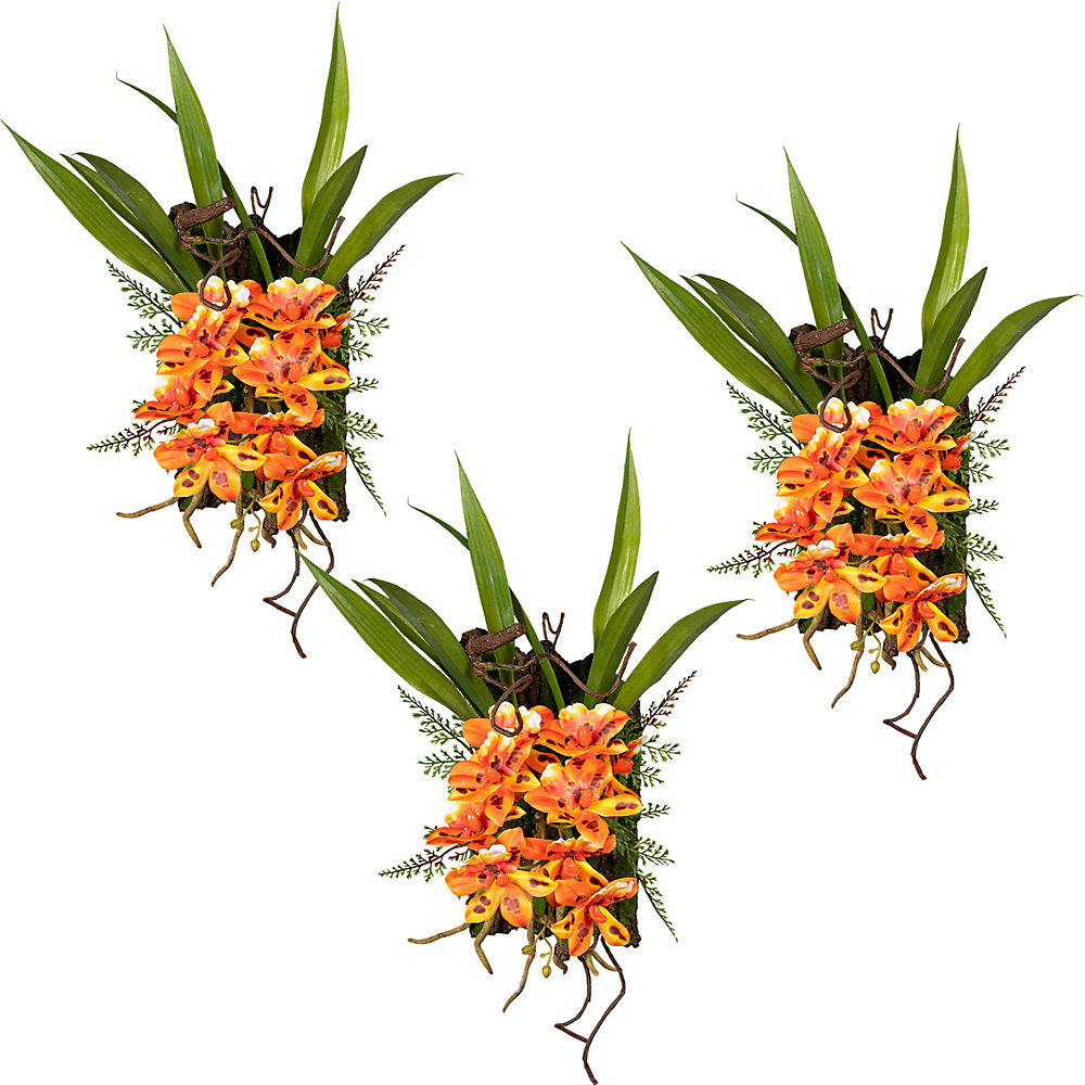 Dendrobium op schors, VE = 3 stuks, ca. 400 x 300 mm, oranje