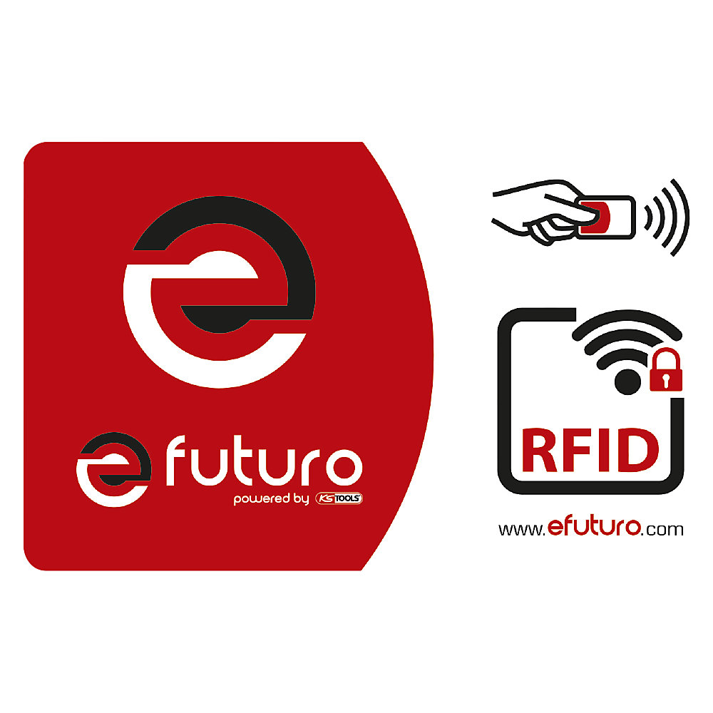 Carte RFID efuturo