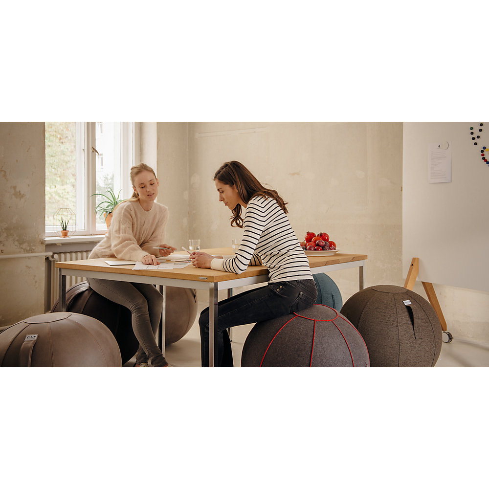 VELT VLUV Sitting Ball Grey/Red 70-75 cm 4