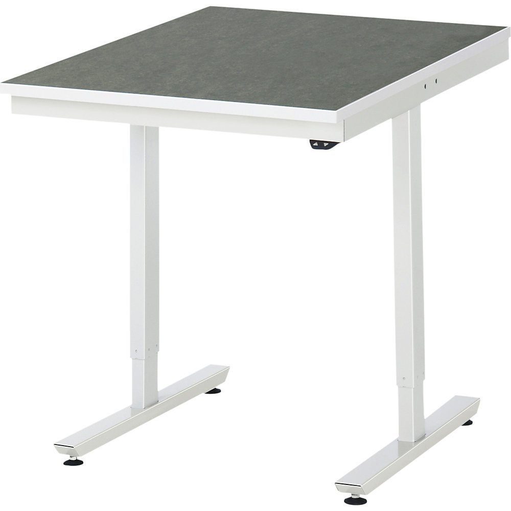 RAU Work Table Electric Height Adjustable Light Gray 75x100 cm
