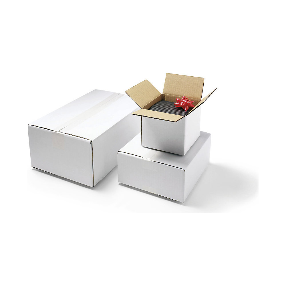 ratioform Carton Pliable Blanc 21x15x13 cm 2