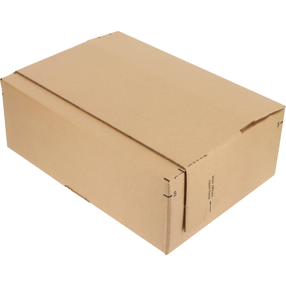 Varibox Karton Plus, höhenvariabel, mit Diebstahlschutz, LxBxH 305 x 215 x 260 mm, VE 10 Stk, ab 30 VE ratioform flow 2