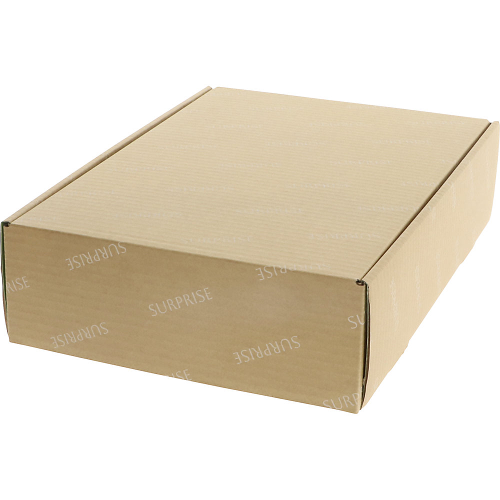 Geschenkkarton Fußball Surprise, mit Innendruck, VE 5 Stk, Innenmaße 360 x 260 x 93 mm ratioform terra 2