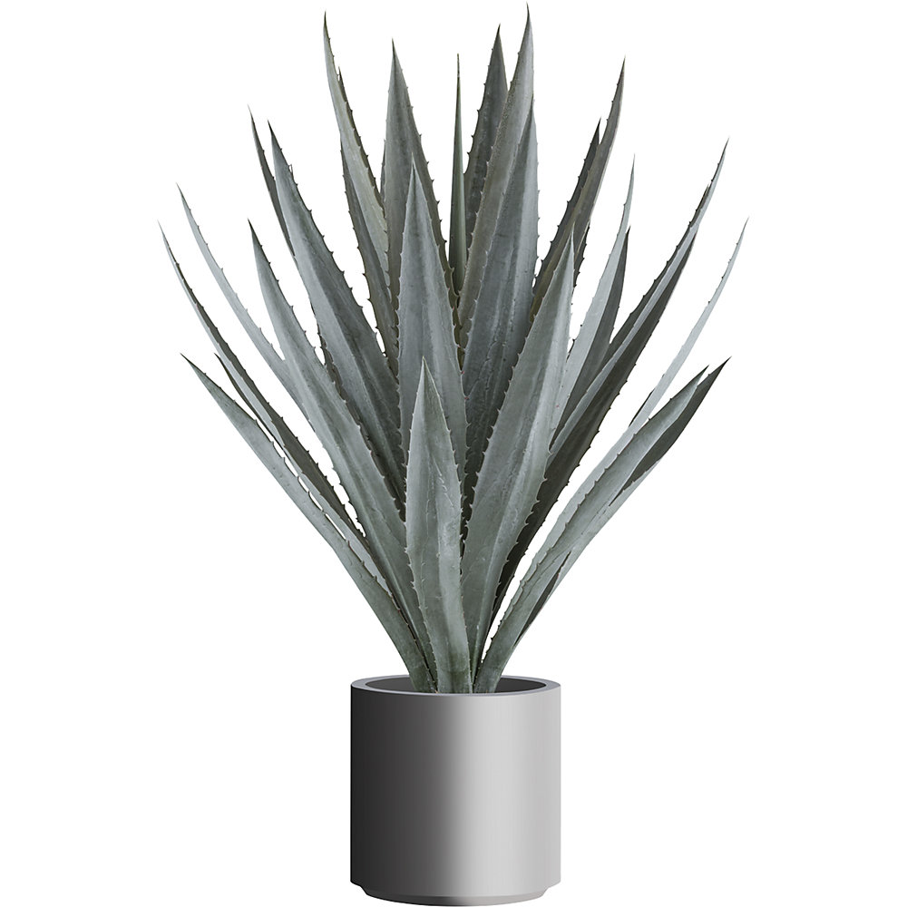 Agave tequilana, kunststofpot, hoogte 1100 mm